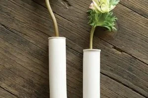 vase tube essai10